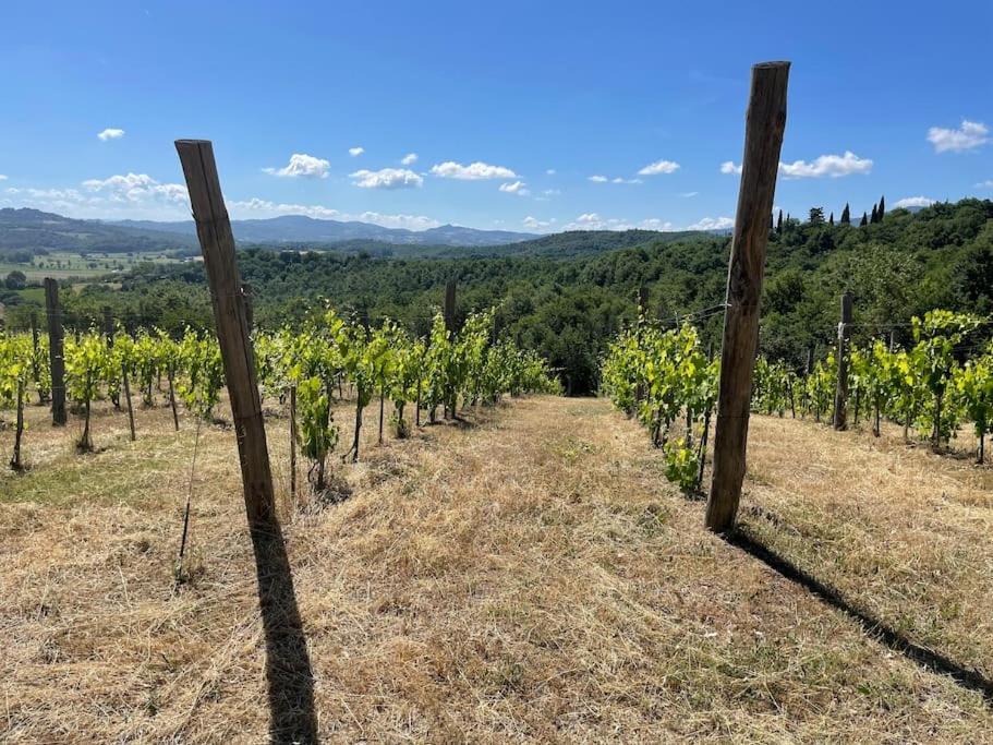 Luxury 1-Bedroom House With The Pool In Tuscany. Anghiari Exterior foto
